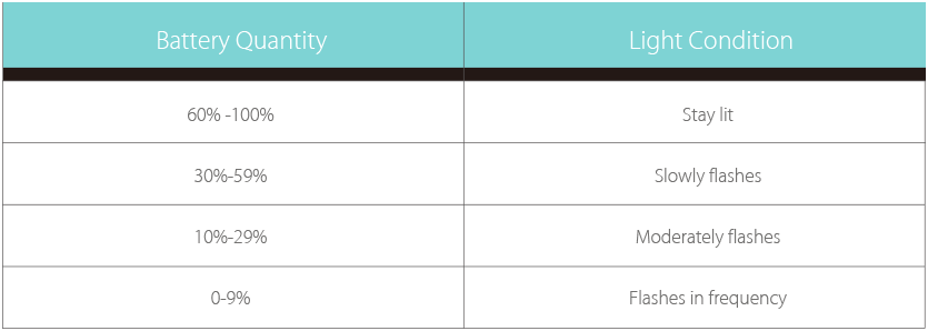 eGo ONE CT Battery